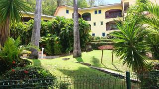 Studio charmant à Sainte-Anne avec piscine privée, 25 m² - Sainte-Anne - 9