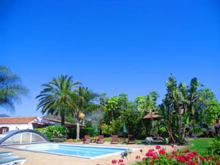 Elegant Apartment in San Cristóbal de La Laguna with Pool – 35 m² - La Laguna - 8