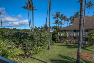 Plantation Hale G14 - 6