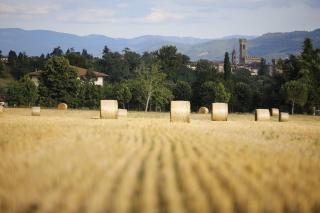 Villa Liberty Mugello - Affitti Brevi Italia - 4