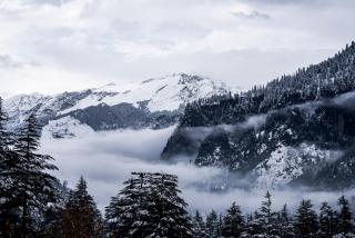 Zen Manali by Keekoo Stays - Manāli - 2