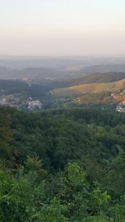 Vila Pogled - Palisad - 5