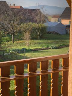 Chambre d’hotes chez Sylviane - Niederhergheim - 7