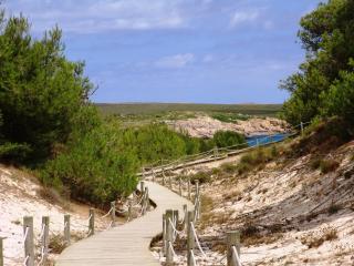 Apartamentos Posidonia - 5