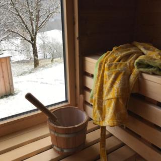 Haus am Salz mit Sauna - Bad Ischl - 5