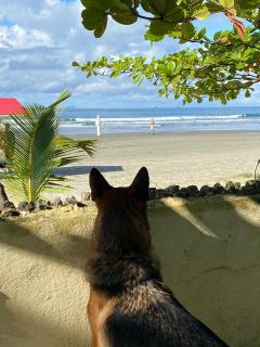 Pé na Areia - Casa para temporada - São Sebastião - 5