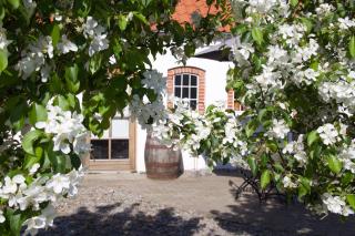 LILLEVANG APARTMENTs - 4