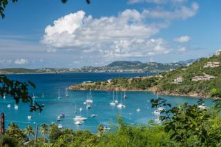 Limetree Cottage at Chocolate Hole - Cruz Bay - 9