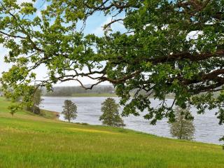 Two-Bedroom Holiday home in Frändefors 1 - Stora Lövnäs - 2