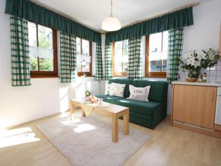 Apartment close to the ski area - Hüttschlag - 0