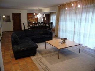Home with garden beside the Ourthe and the RAVeL - Comblain-au-Pont - 7