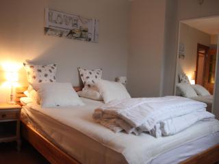 Holiday Home in Bellevaux near Lake and Trails - Bouillon - 1