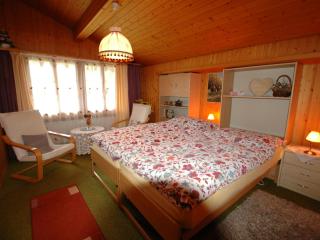 Chalet in Wilderswil with Jungfrau Views - Wilderswil - 1