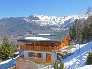 Comfortable chalet at 1500m with sauna - La Tzoumaz - 0
