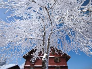 Scenic Holiday Home with Altels View - Kandergrund - 1
