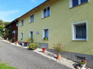 Cosy apartment with balcony in Kirnitzschtal - Lichtenhain - 0