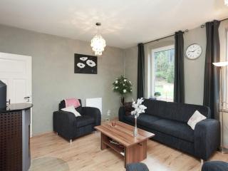 Holiday home near ski area - Rechenberg-Bienenmühle - 8