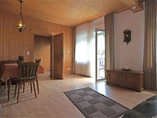 Apartment in Sauerland with terrace - Helminghausen - 9