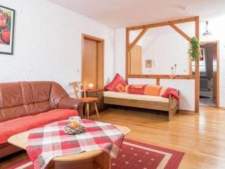 Flat in Herrischried Black Forest - Herrischried - 4