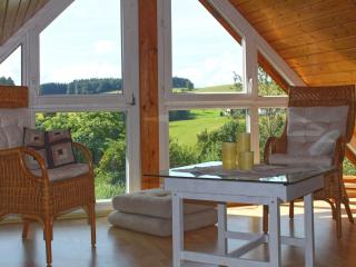 Beautiful apartment near the lake - Herrischried - 0