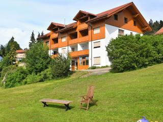 Holiday home with panoramic view - Waldkirchen - 2