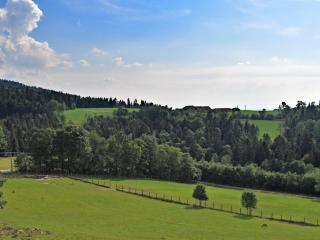 Holiday home with panoramic view - Waldkirchen - 1
