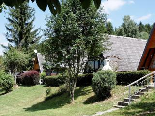 Holiday Home in Waldkirchen with Terrace - 0