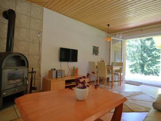 Holiday Home in Thuringia with Sauna - Finsterbergen - 2