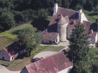 Château in Auvergne with river and terrace - Le Veurdre - 2