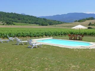 Cosy holiday home with swimming pool - La Serpent - 8