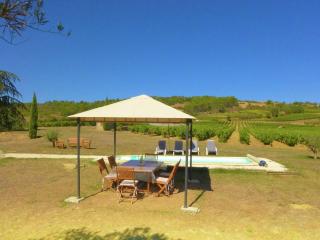 Cosy holiday home with swimming pool - La Serpent - 9