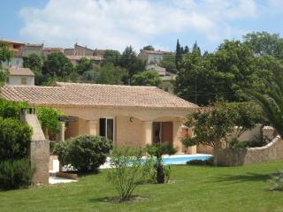 Luxury villa in Provence with garden - Saint-Paul-en-Forêt - 8