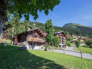 Chalet in Châtel near Les Portes du Soleil - 8