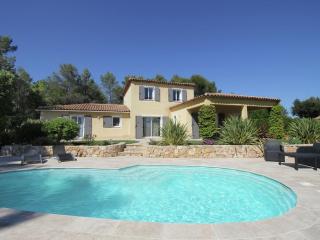 Lush villa with private pool - Bagnols-en-Forêt - 9