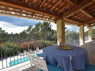 Comfortable villa with private pool - Vidauban - 0
