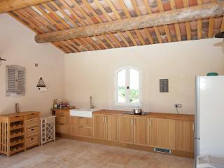 Luxury villa in Provence with a private pool - Martres-Tolosane - 7