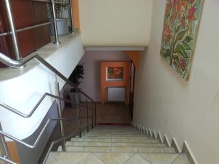 Pensiunea Pura Vida - Timişoara - 7