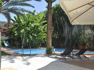 Villa in Giannoudi with private pool - Giannoudi - 2