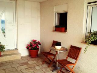 Apartment in Dalmatia near the Sea - Čelina - 1