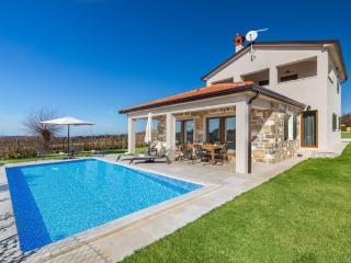 Gorgeous villa with pool and terrace - Lakošelci - 0