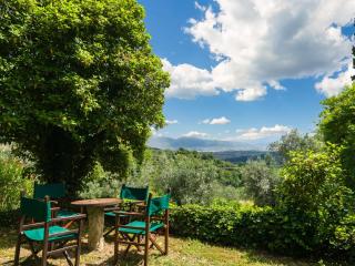 Rustic Farmhouse Stay, Carmignano - Carmignano - 5