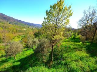 Cottage in Sesta Godano near Forest & Sea - Sesta Godano - 2