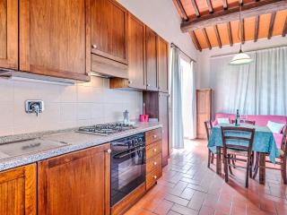 Apartment in Greve in Chianti with garden - Greve in Chianti - 6