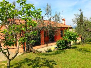 Holiday home in Montespertoli - Montespertoli - 8