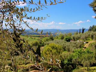 Farmhouse with swimming pool in Poggibonsi - Poggibonsi - 6