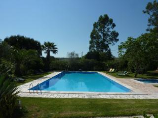 Holiday home in Montemor-o-Novo with pool - Montemor-o-Novo - 3