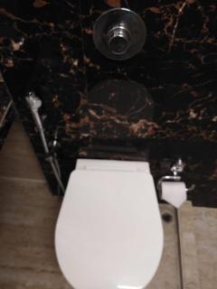 Hotel Mayfair Tower - Calcutta - 3