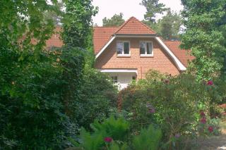 Ferienwohnung Kiefernblick-Wedemann - Bispingen - 9
