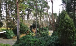 Ferienwohnung Kiefernblick-Wedemann - Bispingen - 8