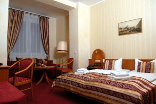 Hotel Schwarzer Bär - Zittau - 5